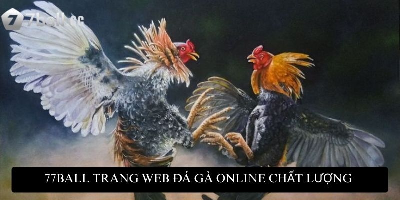 77ball trang web đá gà online chất lượng đáng để trải nghiệm