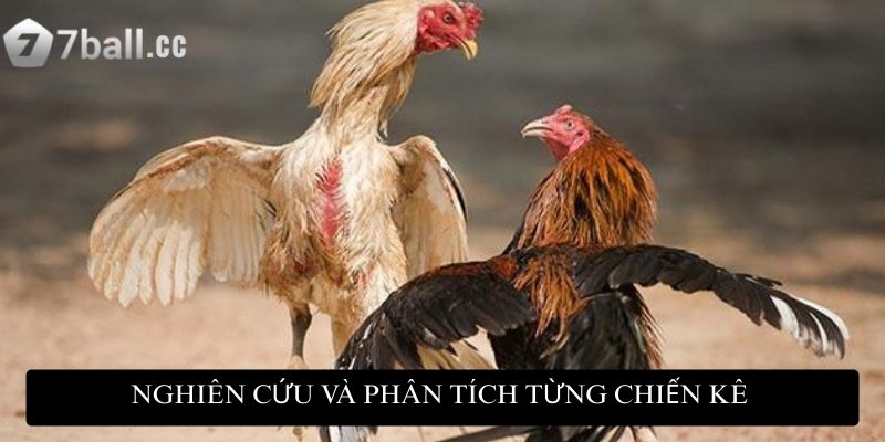 Đá gà mạng trực tuyến: Đỉnh cao giải trí và cơ hội kiếm tiền 4 Biết cách nghiên cứu và phân tích từng chiến kê giúp bạn đưa ra lựa chọn phù hợp