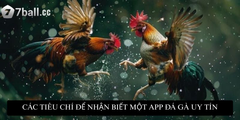 Các tiêu chí để nhận biết một app đá gà uy tín