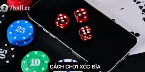 Cách chơi xóc đĩa: Tài liệu hữu ích cho người chơi mới