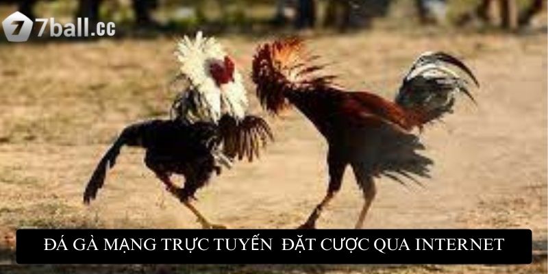 Đá gà mạng trực tuyến: Đỉnh cao giải trí và cơ hội kiếm tiền 2 Đá gà mạng trực tuyến là hình thức đặt cược qua internet