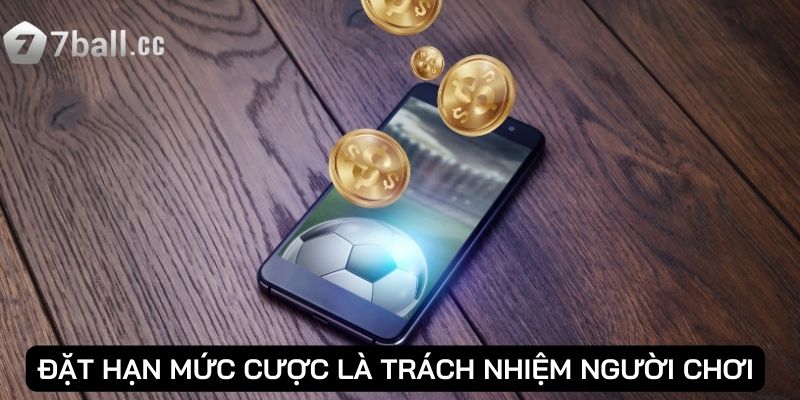Trách Nhiệm Người Chơi - Nền tảng giải trí tại 77ball 1 Đặt hạn mức cược là Trách Nhiệm Người Chơi