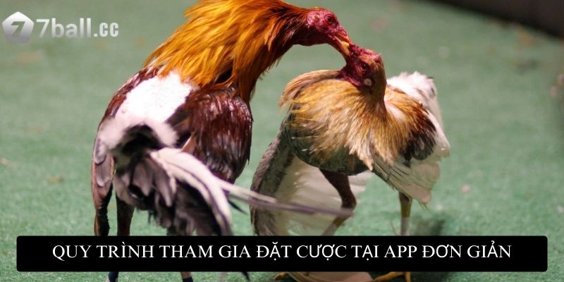 Quy trình tham gia đặt cược tại app đơn giản dễ hiểu