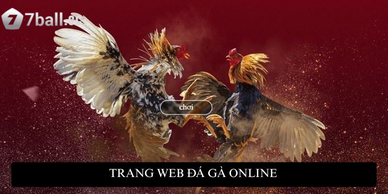 77ball – Trang web đá gà online Thomo Campuchia trực tiếp