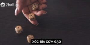 Xóc đĩa cơm gạo: Trải nghiệm trò chơi may rủi hấp dẫn